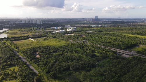 有关天空, 户外, 树木的免费素材视频