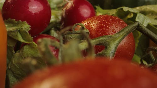 有关健康食品, 新鲜水果, 水滴的免费素材视频