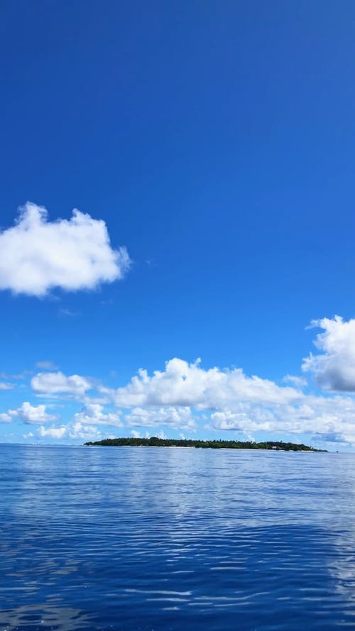 有关垂直视频, 夏天, 天堂的免费素材视频