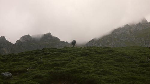 有关冒险, 天性, 徒步旅行者的免费素材视频