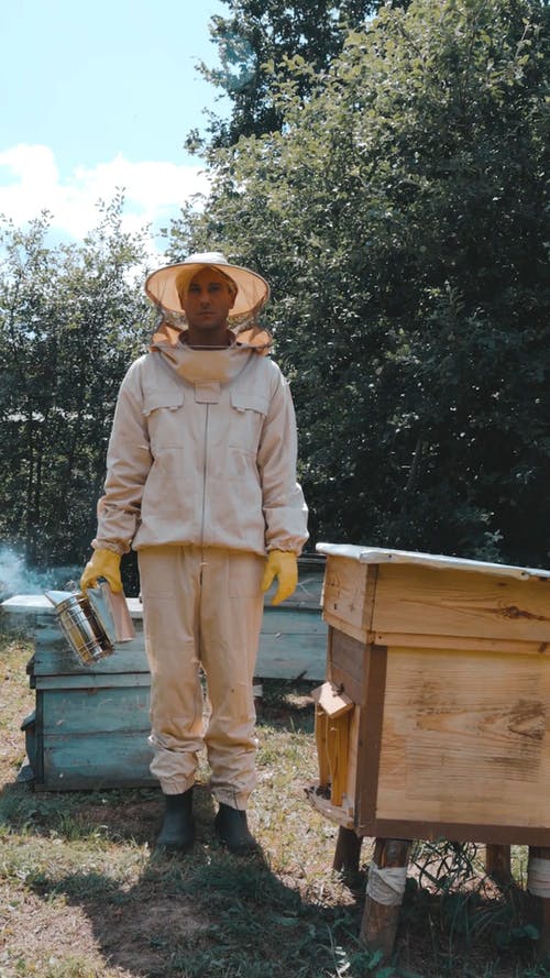 有关人, 养蜂业, 养蜂人的免费素材视频