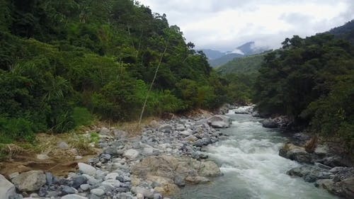 有关岩石, 工厂, 森林的免费素材视频