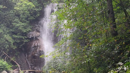 有关天性, 小河, 岩石的免费素材视频