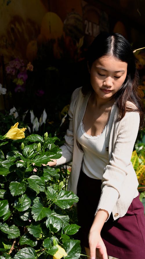 有关垂直视频, 女人, 工厂的免费素材视频