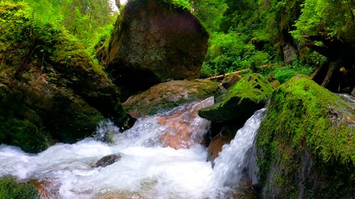 有关天性, 岩石, 水流动的免费素材视频