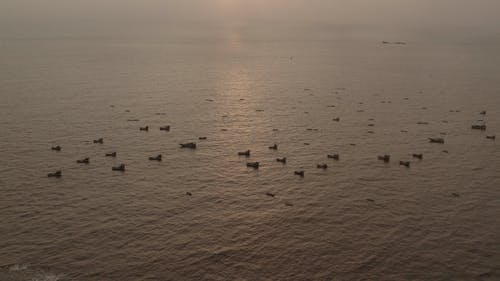 有关天空, 海, 漂浮的的免费素材视频