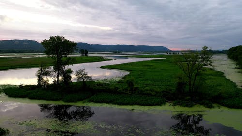 有关景观, 树木, 水的免费素材视频