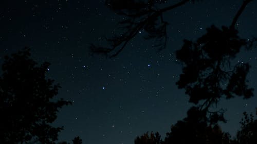 有关剪影, 天空, 户外的免费素材视频