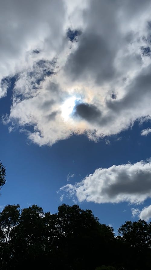 有关垂直视频, 天性, 天空的免费素材视频