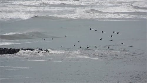 有关大浪, 手持拍摄, 海的免费素材视频