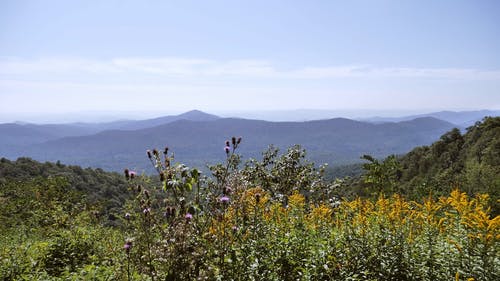 有关天性, 山, 手持拍摄的免费素材视频