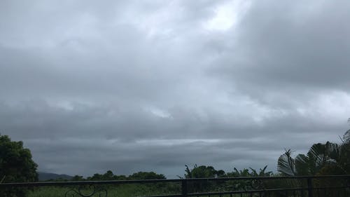 有关下雨, 下雨天, 天性的免费素材视频