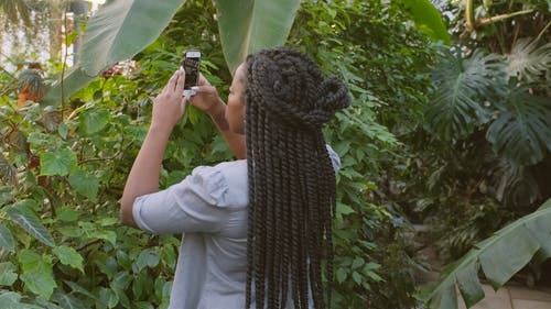 一个女人把温室里的植物的完整镜头录像 · 免费素材视频