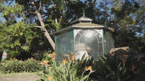 在公园里建的鸟笼 · 免费素材视频