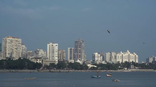 有关人群, 城市, 天际线的免费素材视频