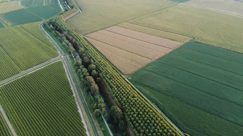 有关イタリアのヴェローナ, 下田, 从上面查看的免费素材视频