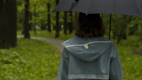 有关forestpark, 下雨天, 兜帽的免费素材视频