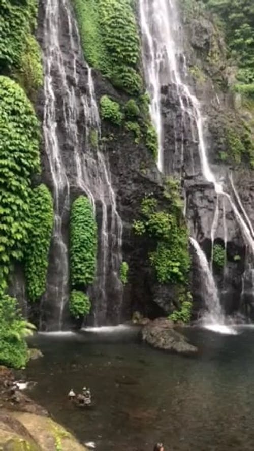 有关垂直视频, 天性, 岩石海岸的免费素材视频