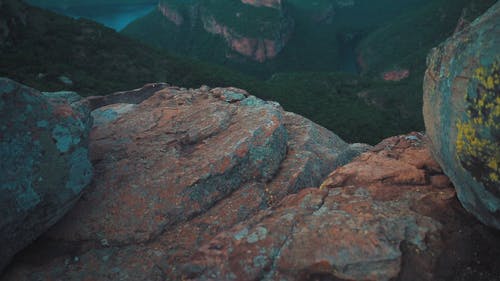 有关人, 场景, 天性的免费素材视频