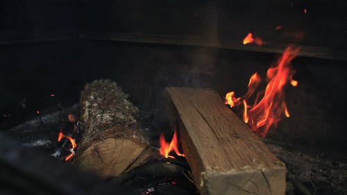 有关升火的木柴, 原本, 壁炉的免费素材视频