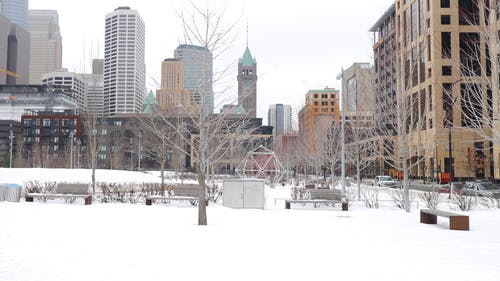 明尼阿波利斯公园被雪覆盖 · 免费素材视频