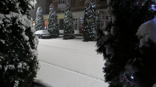 松树与圣诞灯饰沿雪覆盖的道路 · 免费素材视频