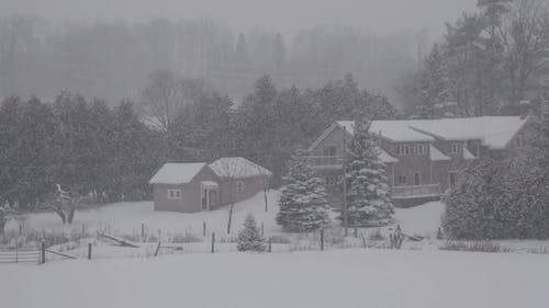 有关冬天的雪, 冬季, 家的免费素材视频