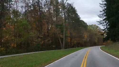 在秋天穿过森林建造的道路 · 免费素材视频