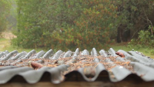 有关下雨, 天性, 屋顶的免费素材视频