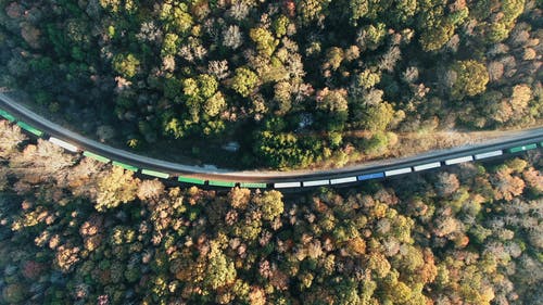 铁路砍伐茂密的森林 · 免费素材视频