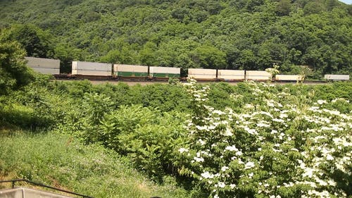 沿着山腰行驶的货运列车 · 免费素材视频