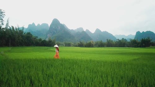 女人走在农场 · 免费素材视频