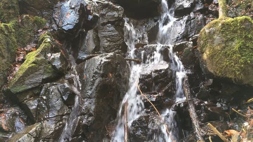 岩石上的水流 · 免费素材视频