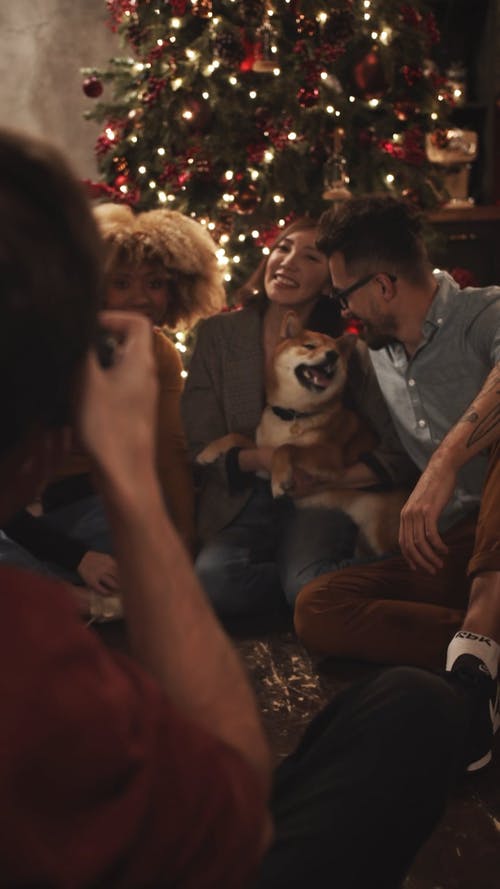 图片拍摄的一群与狗在圣诞树上 · 免费素材视频