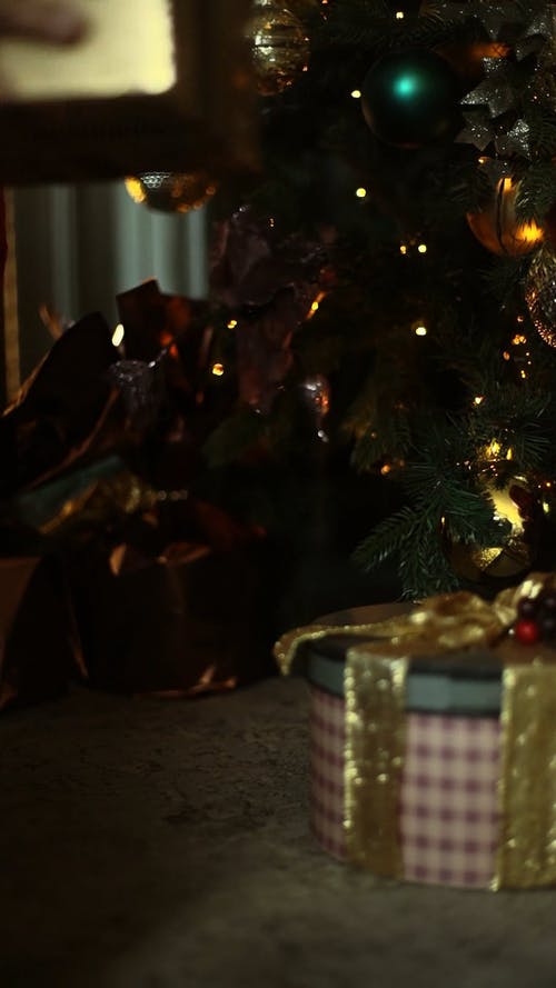 一个人把一盒礼物放在圣诞树下 · 免费素材视频