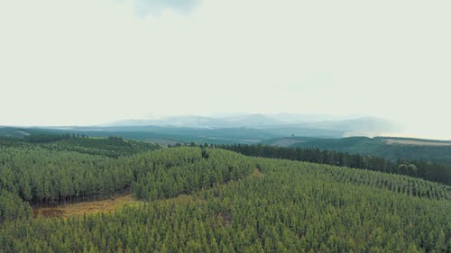 有关小河, 小溪, 山的免费素材视频