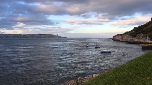 有关@户外, 固定镜头, 地面射击的免费素材视频