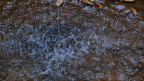 有关下雨天, 倾注, 坏天气的免费素材视频