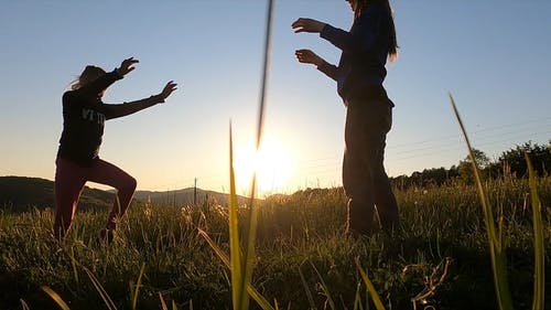 有关享受, 健康, 天性的免费素材视频