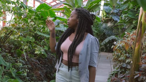 一个女人抚摸和拍照温室内的植物花卉的照片 · 免费素材视频