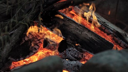 有关升火的木柴, 户外, 木炭的免费素材视频