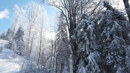 雪覆盖的山和树木在多云的蓝天下 · 免费素材视频