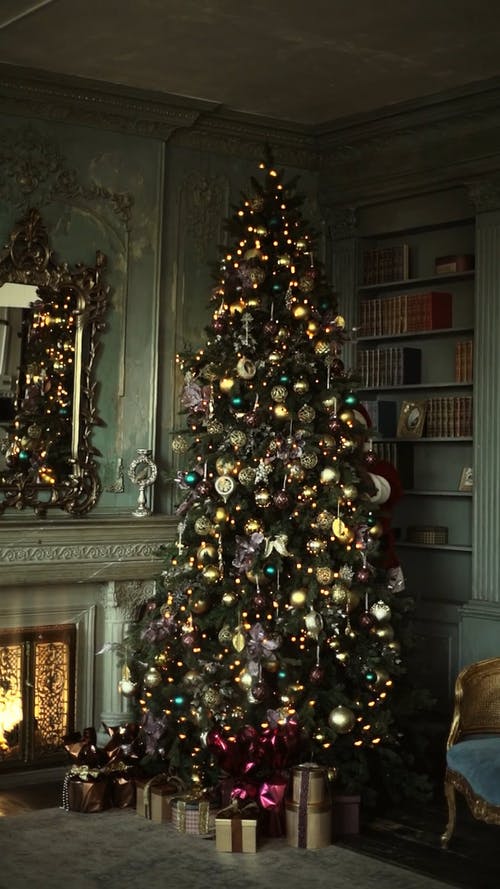 圣诞老人检查圣诞树上的装饰品装饰 · 免费素材视频