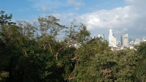 巴拿马城的无人机画面 · 免费素材视频