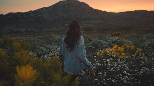 有关在日落时走的女人, 女人走路, 户外探险的免费素材视频