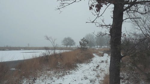 积雪覆盖地面的平坦表面 · 免费素材视频