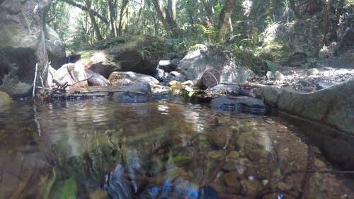 一条河流流过岩层 · 免费素材视频