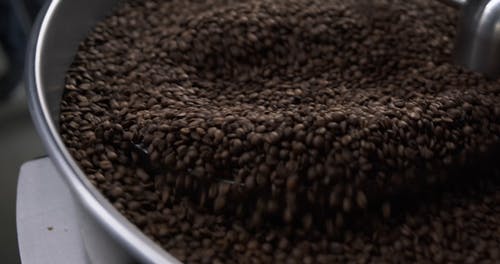 使用机械冷却烘焙过的咖啡豆 · 免费素材视频