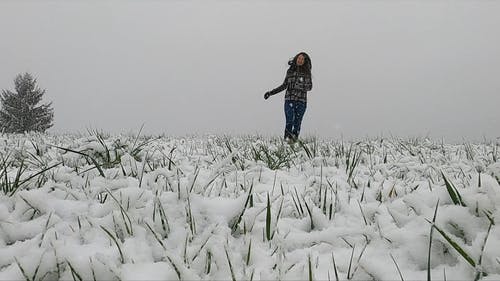 有关下雪, 低角度拍摄, 友谊的免费素材视频