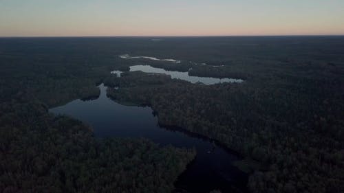 河在森林里的无人机画面 · 免费素材视频